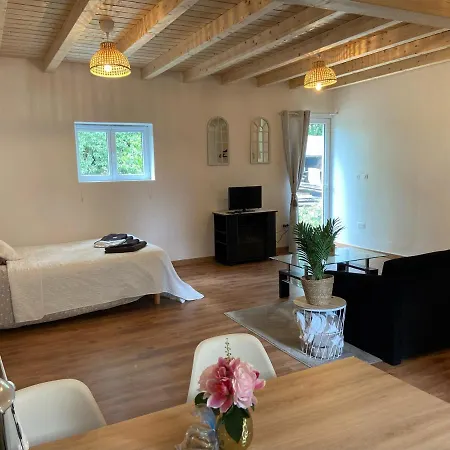 Le Chêne: Petit Cosy Proche De Mulhouse Appartement Riedisheim