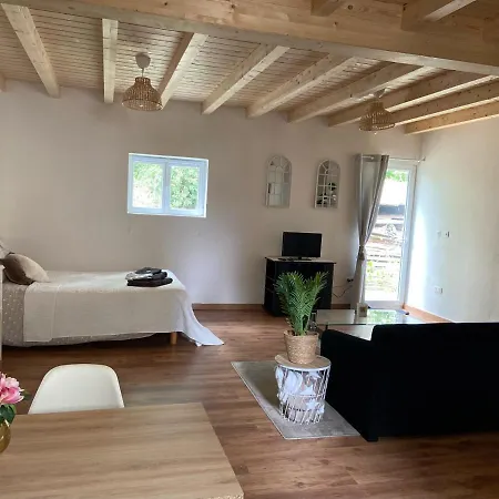 Le Chêne: Petit Cosy Proche De Mulhouse * Riedisheim